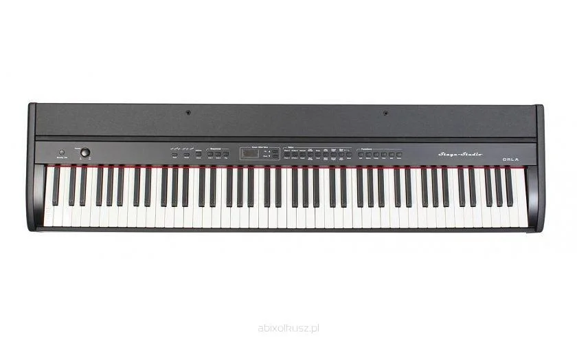 ippomusic2207028