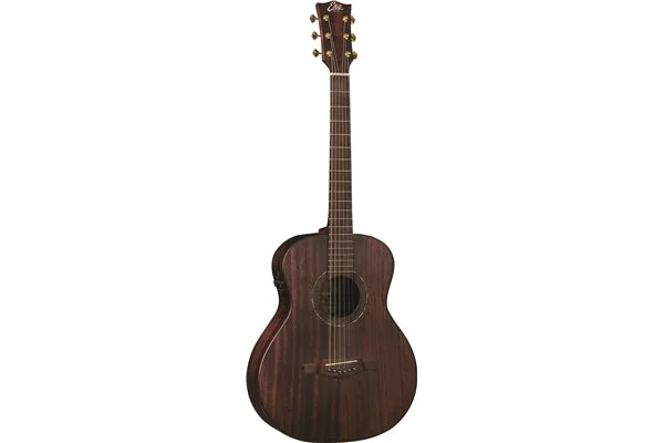 ippomusic2212292