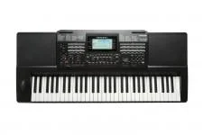 ippomusic2212932