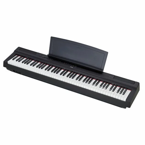 ippomusic2217954