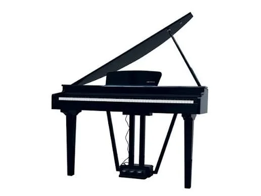 ippomusic2221727