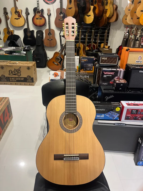 ippomusic2221786
