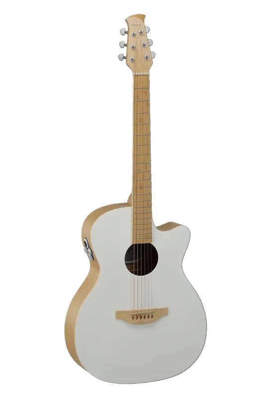 ippomusic2221999