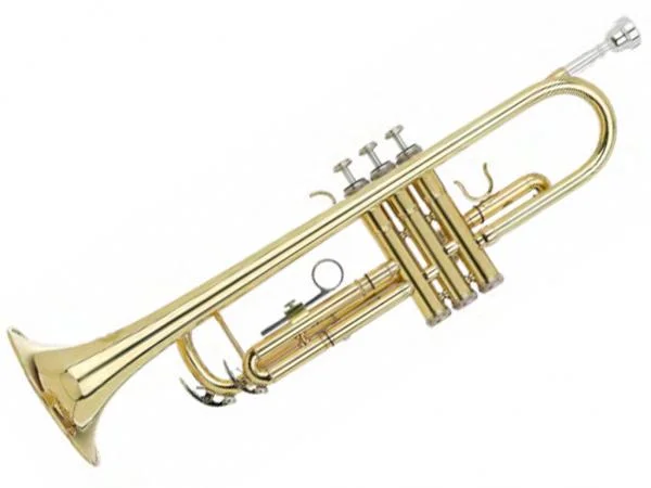 ippomusic2256774