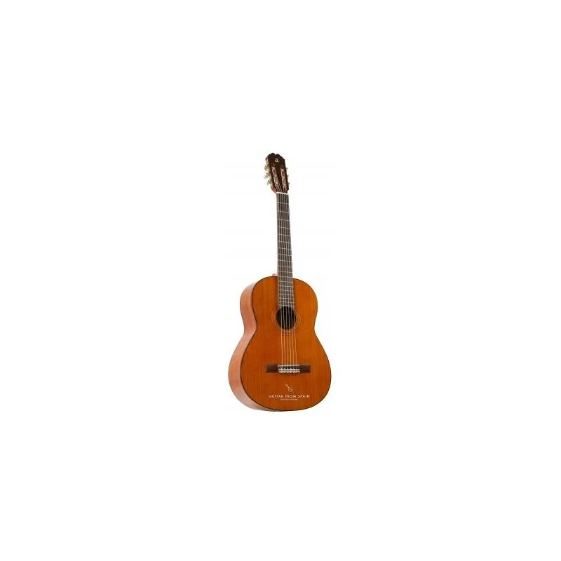 musicaearte-2181298