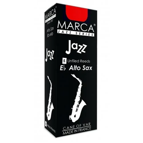 musicando-2201572