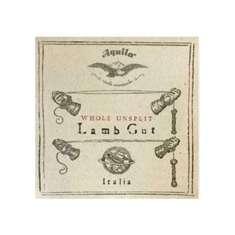 paganino-2195024