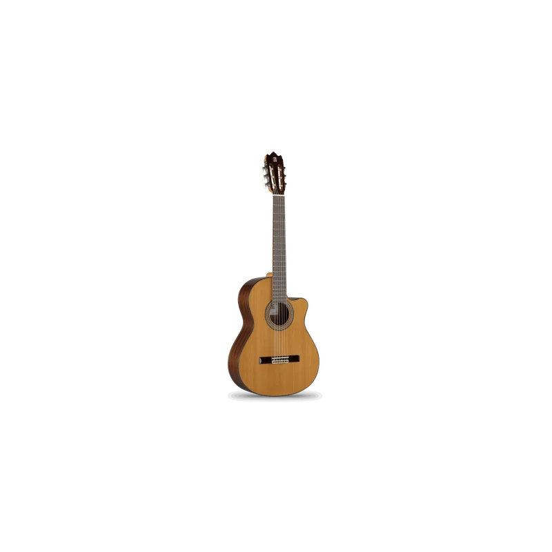 spevi-strumentimusicali-2194675