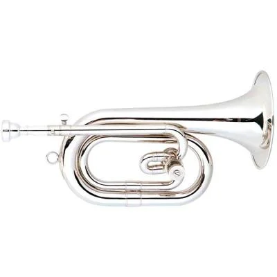 tuttomusica-2181266