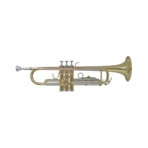 worldmusic-store-2190022