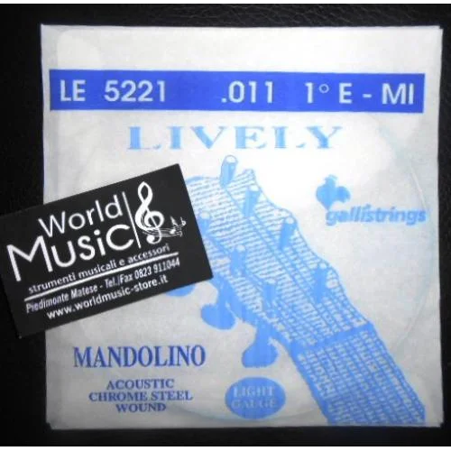 worldmusic-store-2196125