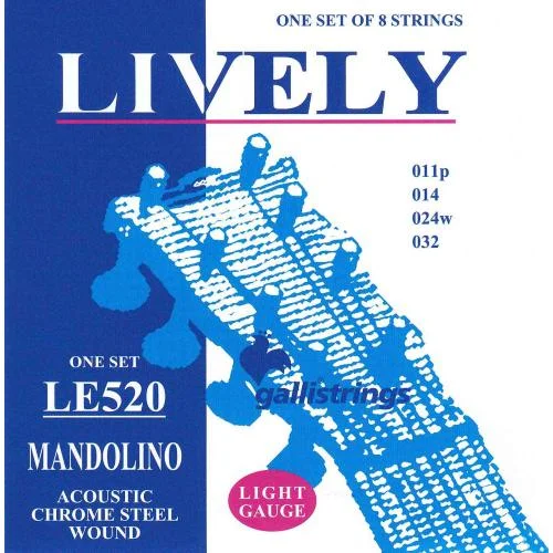 worldmusic-store-2199576