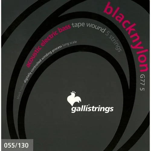 worldmusic-store-2199579
