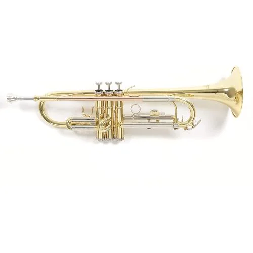 worldmusic-store-2208109