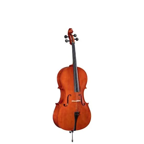 worldmusic-store-2209363
