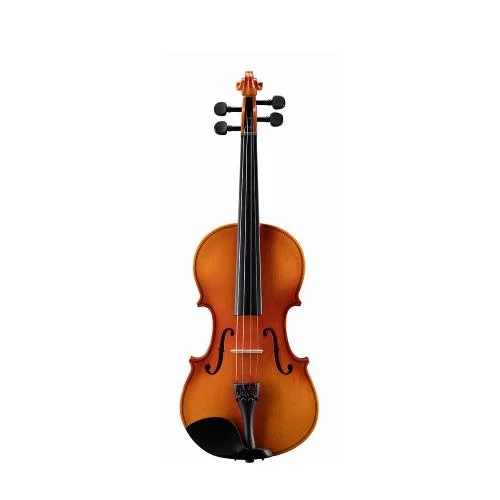 worldmusic-store-2209433