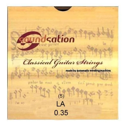 worldmusic-store-2209592