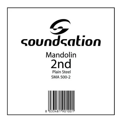 worldmusic-store-2209703