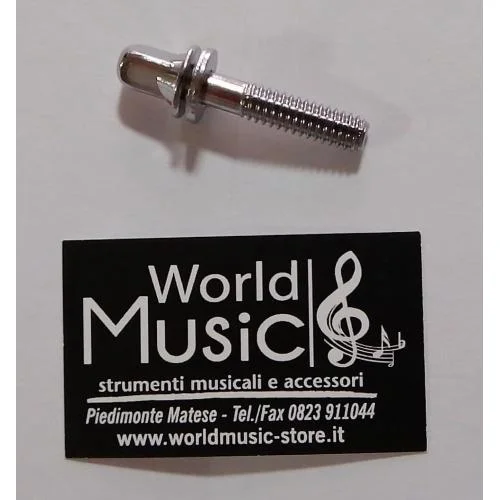 worldmusic-store-2256539