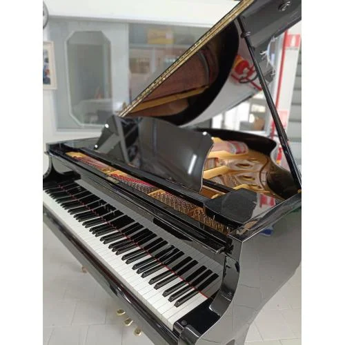 worldmusic-store-2256757