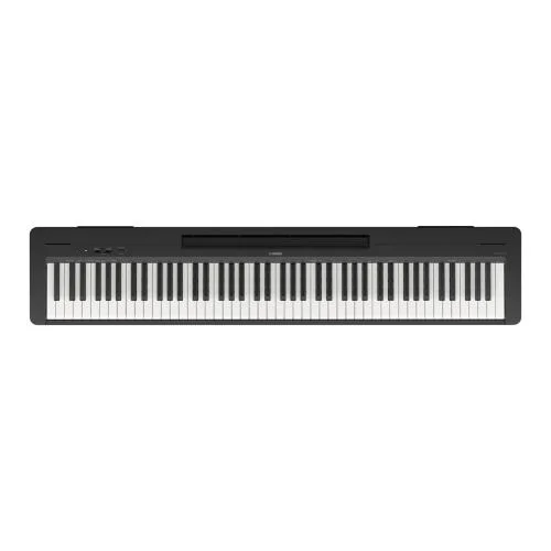worldmusic-store-2256856